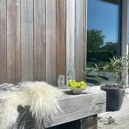 Modern Summer House Close To A Sandy *
